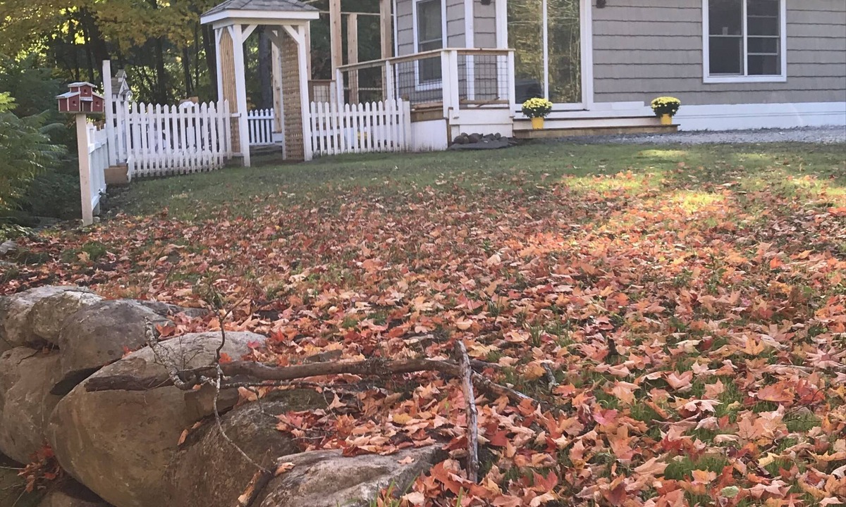 Au Sable Forks House | Modern Tiny House