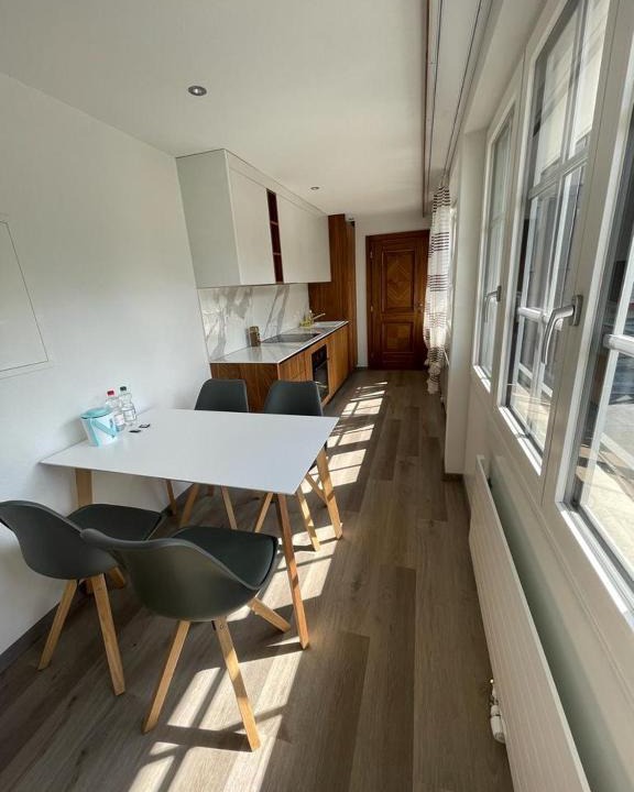 Altdorf Apartment | Moderne einzigartige Wohnung in Altdorf