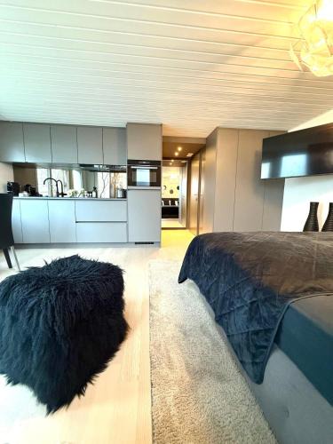 Guettingen Apartment | Modernes Studio am Bodensee mit Parkplatz