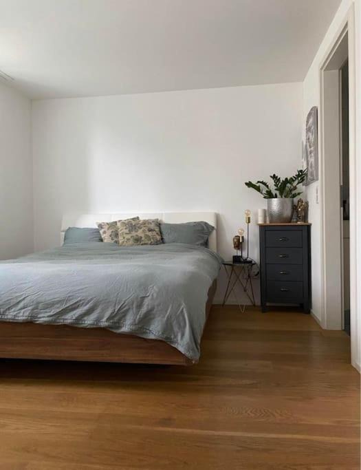 Unterseen Apartment | Moderno appartamento con balcone vista fiume e Monte Jungfrau