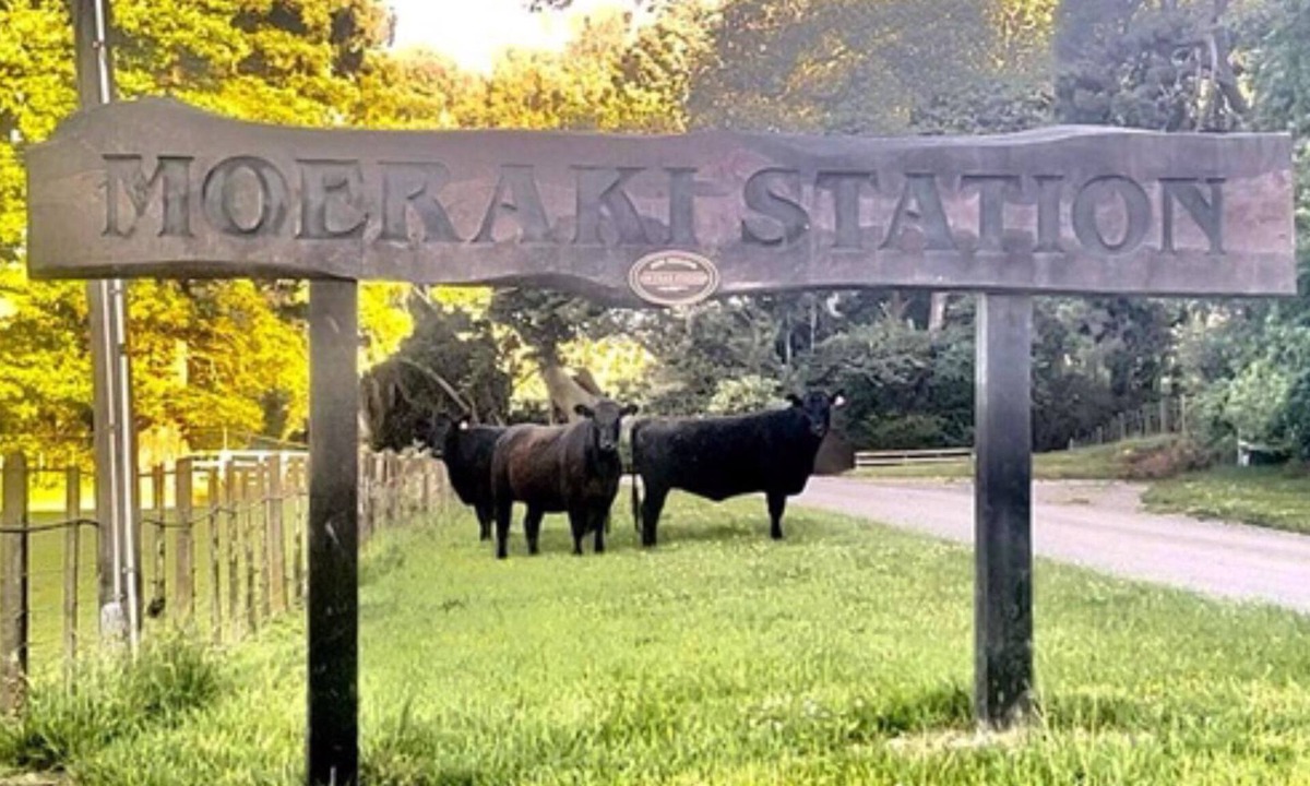 Wairarapa Other | Moeraki Station Holiday House