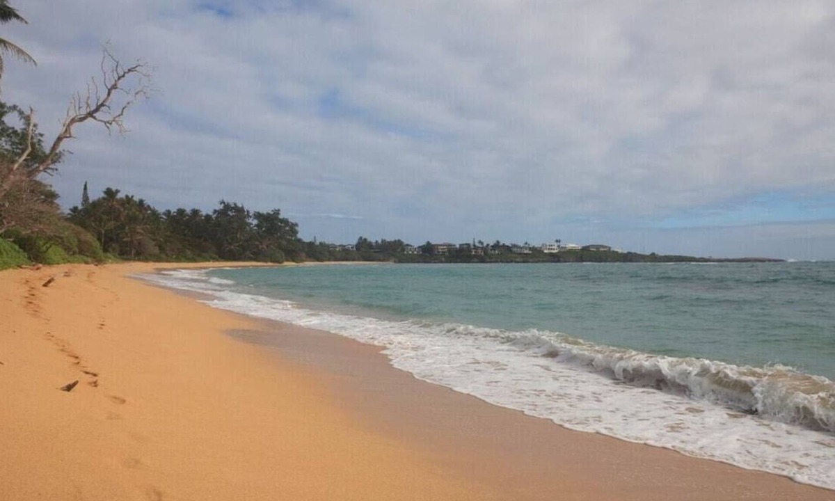 Laie House | 🌸Moku Paradise🌸 - Beach | PCC