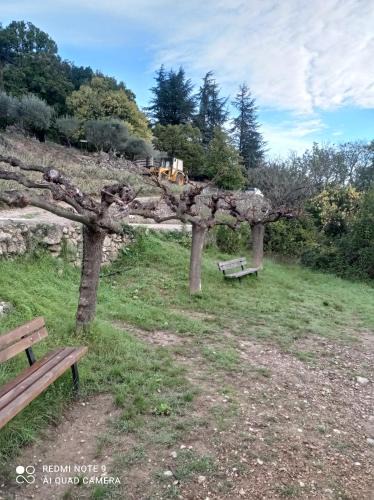 Molieres-Cavaillac Apartment | Moliere