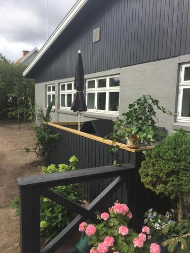 Bønnerup Strand Bed & Breakfast | Molino