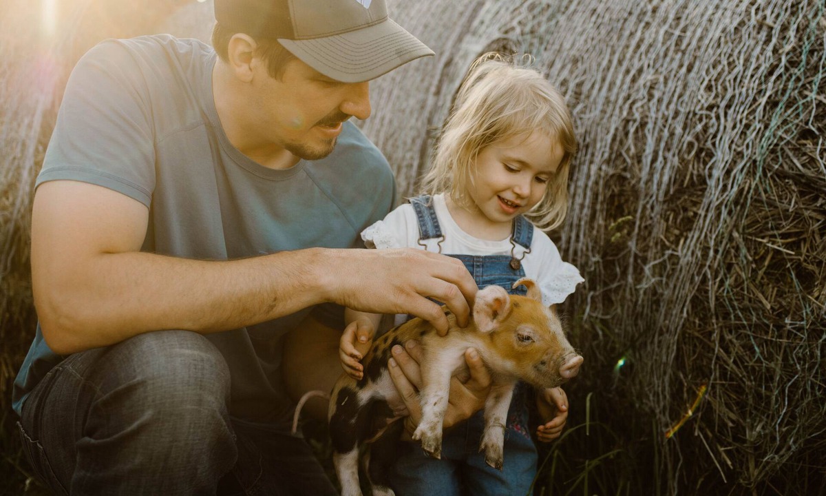 Stearns County House | Molitor Milk Barn-Feathered Acres Learning Farm & Inn