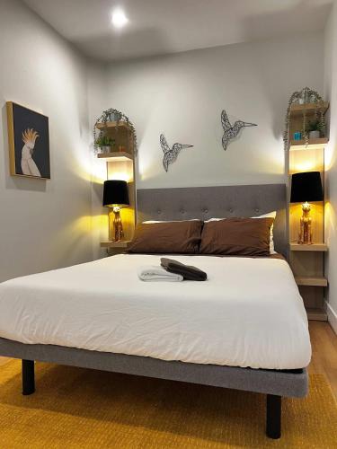 Downtown Halifax Apartment | Monkey Jungle Downtoqwn AC, Unit 213