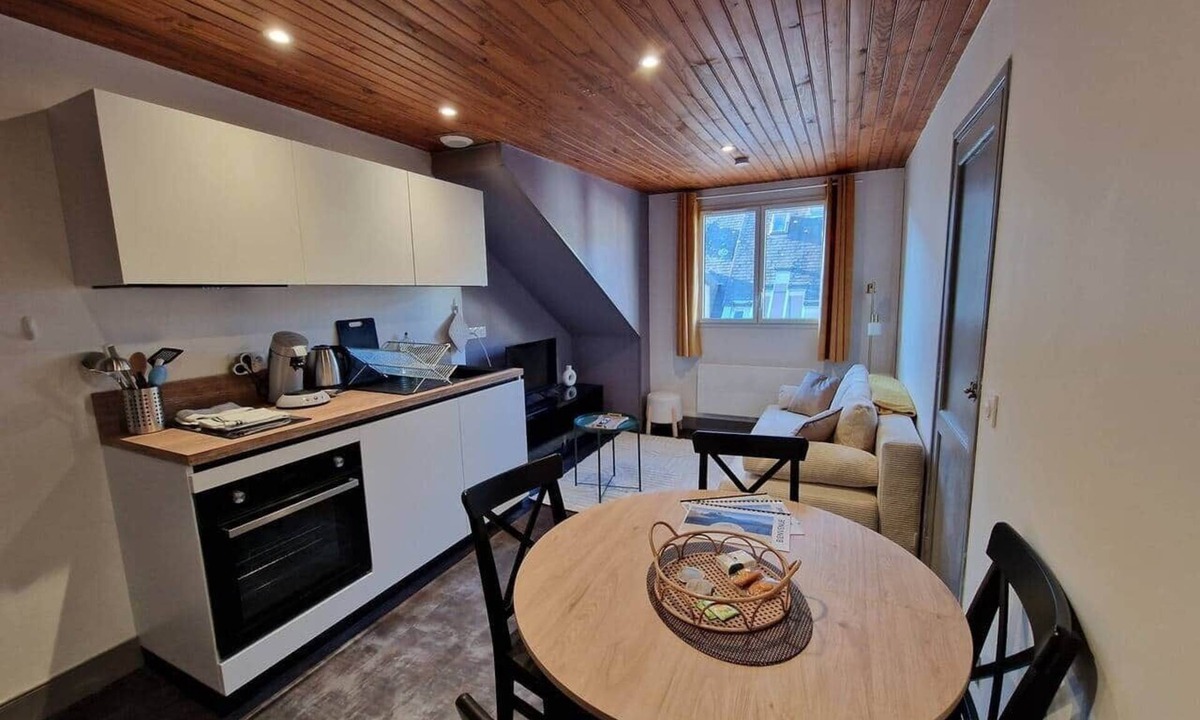 Bagneres-de-Bigorre Apartment | Monné ✦ T2 cosy attic ✦ Bagnères center