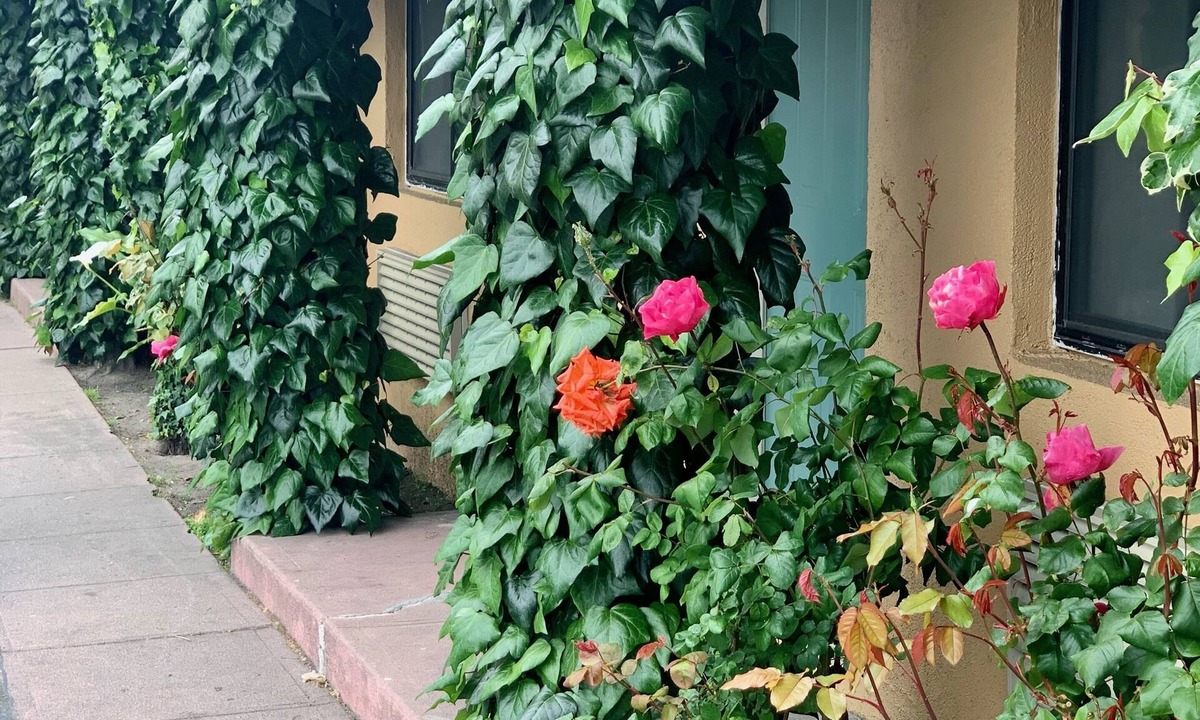 Monterey Hotel | Monterey Oceanside Inn