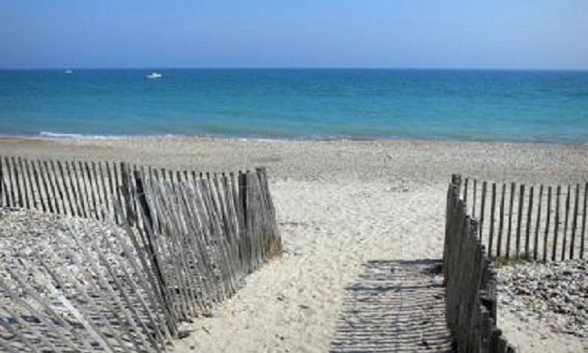 Saint-Clement-de-Riviere Apartment | Montpellier North, 2 charming rooms in the pinewood