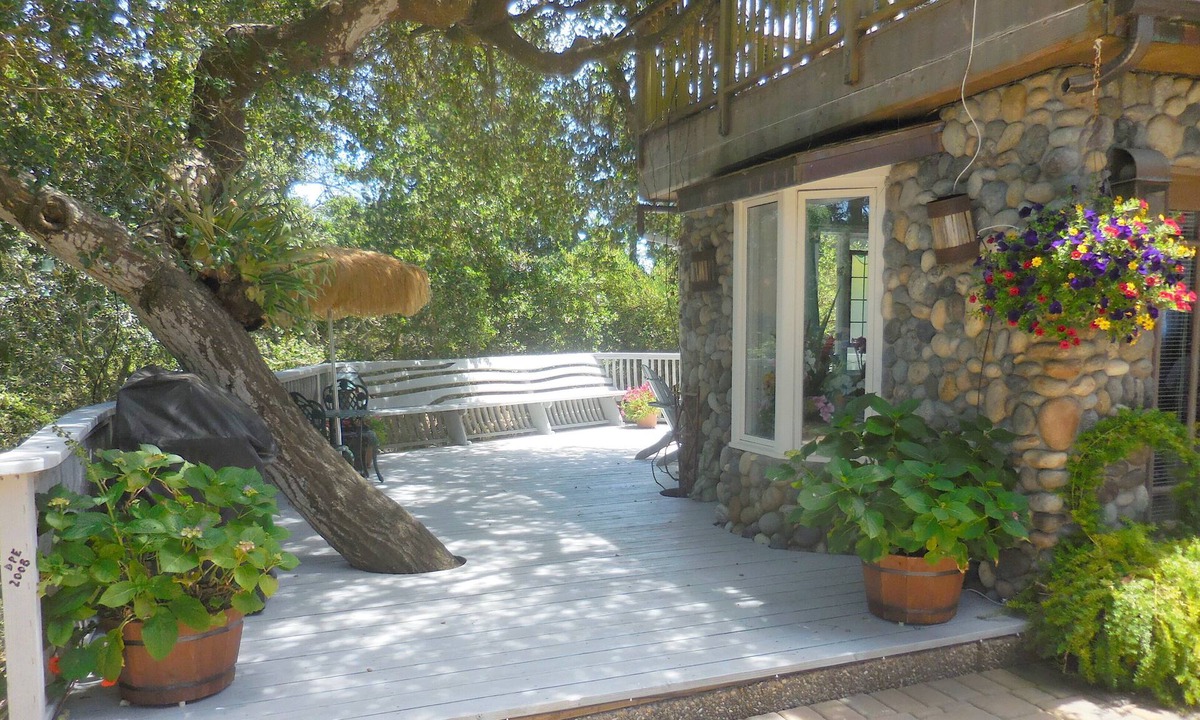 Carmel Cottage | Moonglow: Forest tranquility minutes from downtown Carmel.