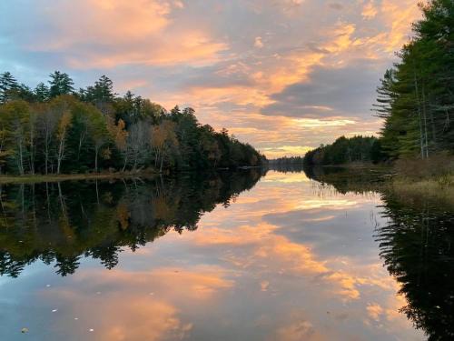 Belgrade House | MoonLight Treehouse At Belgrade Hospitality