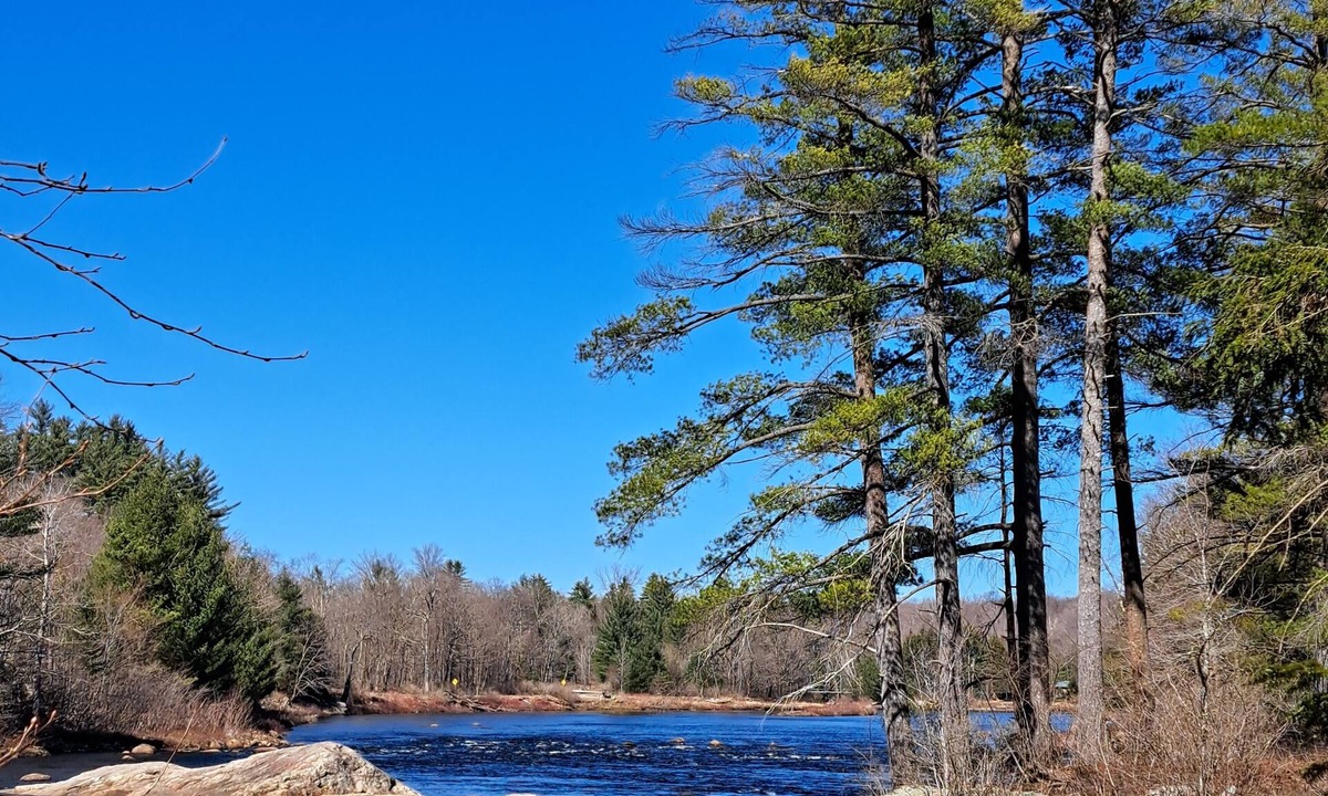 Town of Lyonsdale Cottage | Moose River ADK Get-Away