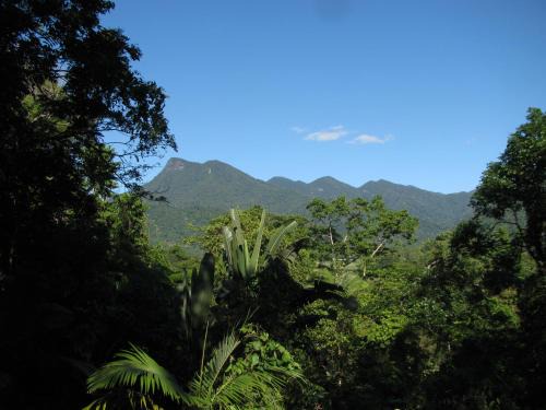 Mossman Bed & Breakfast | Mossman Gorge Bed and Breakfast