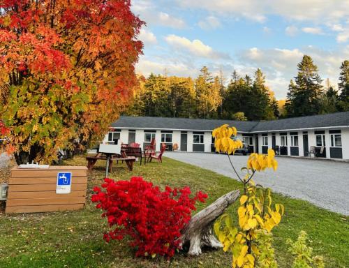Rimouski Hotel | Motel de L'Anse et Camping Rimouski