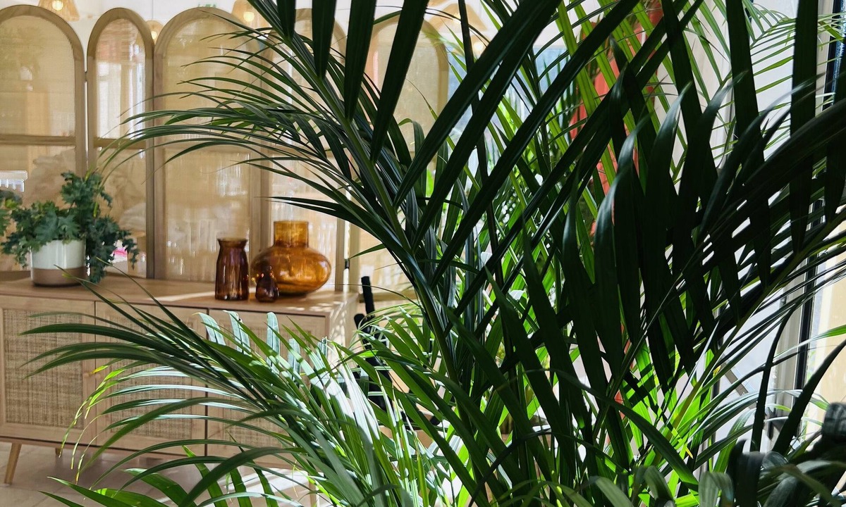 Mesves-sur-Loire Hotel | Motel Les Broussailles