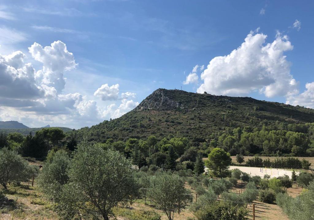 Galargues House | Mougere des oliviers