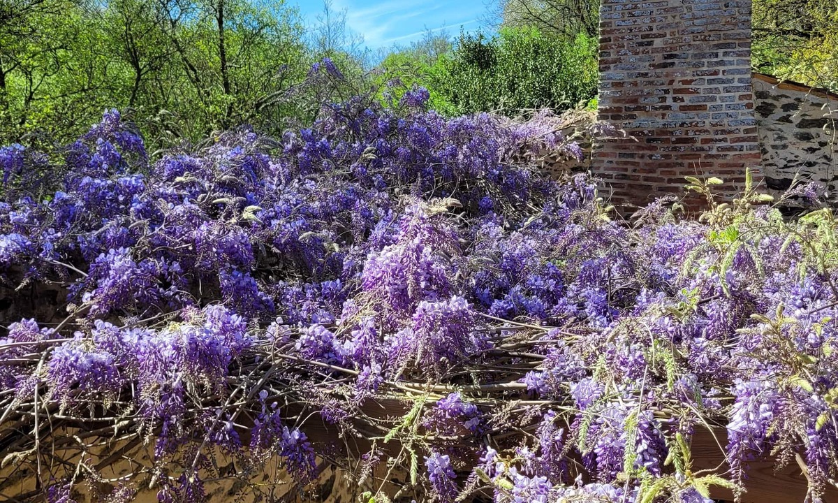 Chemille-Melay House | Moulin de Drapras