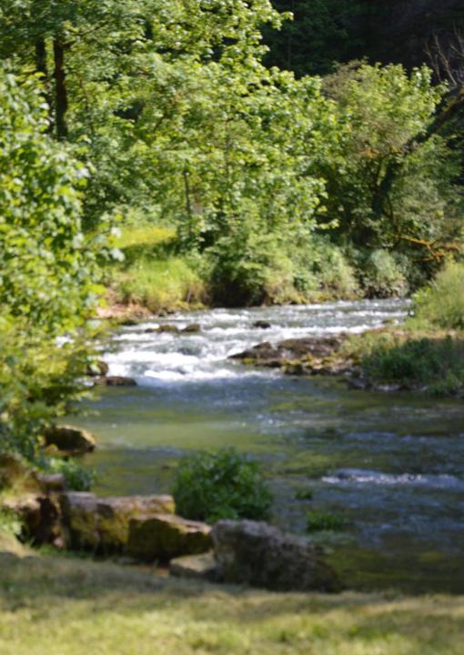 Cusance Bed & Breakfast | Moulin de la Cuse - Chambre La Cuse