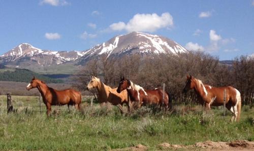 La Sal Bed & Breakfast | Mount Peale Country Inn near Moab