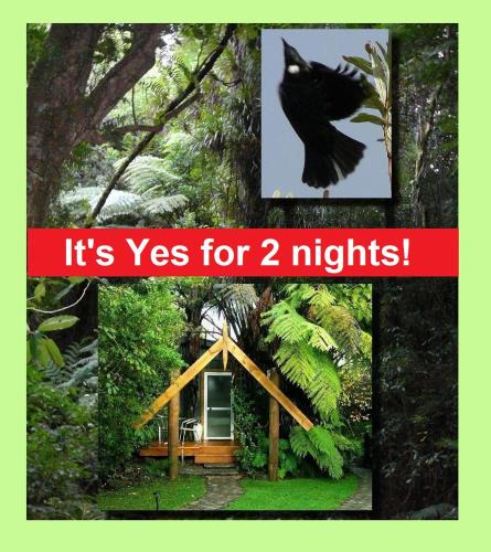 Ohauiti Bed & Breakfast | Mount Tutu Eco-Sanctuary