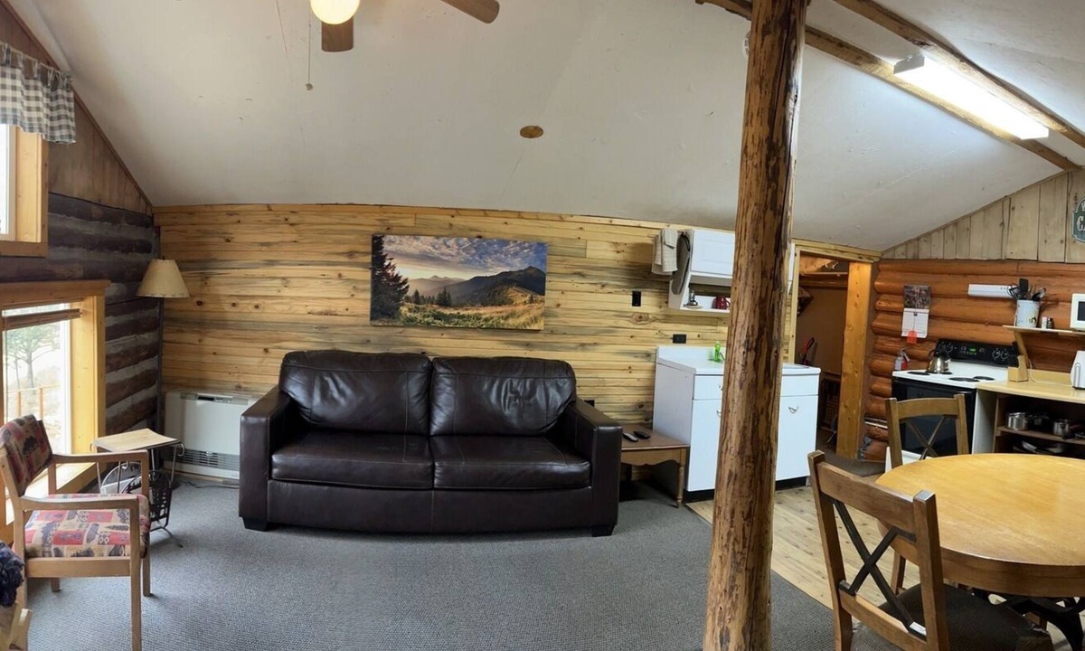 South Fork Cabin | Mountain cabin with river views . Sleeps 6.15 minutes from Wolf Creek Ski Area.