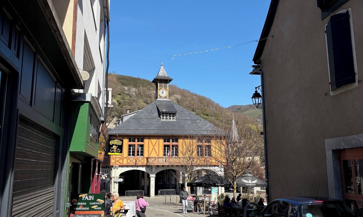Arreau Apartment | Mountain-facing apartment - close to town center