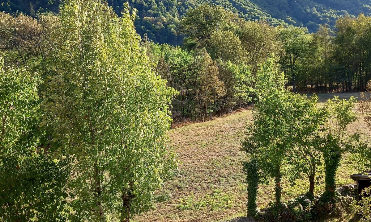 Savignac-les-Ormeaux House | Mountain house with garden