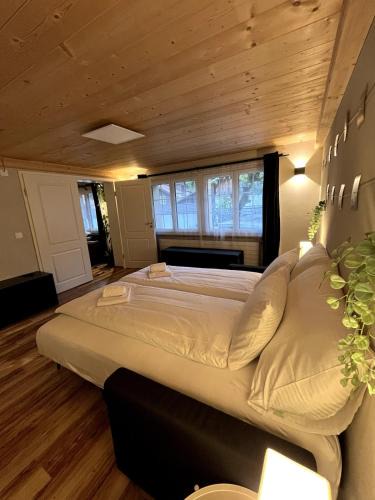 Boenigen Apartment | Mountain Homes - Kathmandu