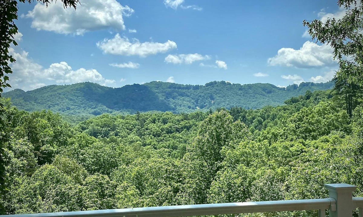 Almond Cabin | Mountain Oasis Luxurious w/5 Star Amenities!