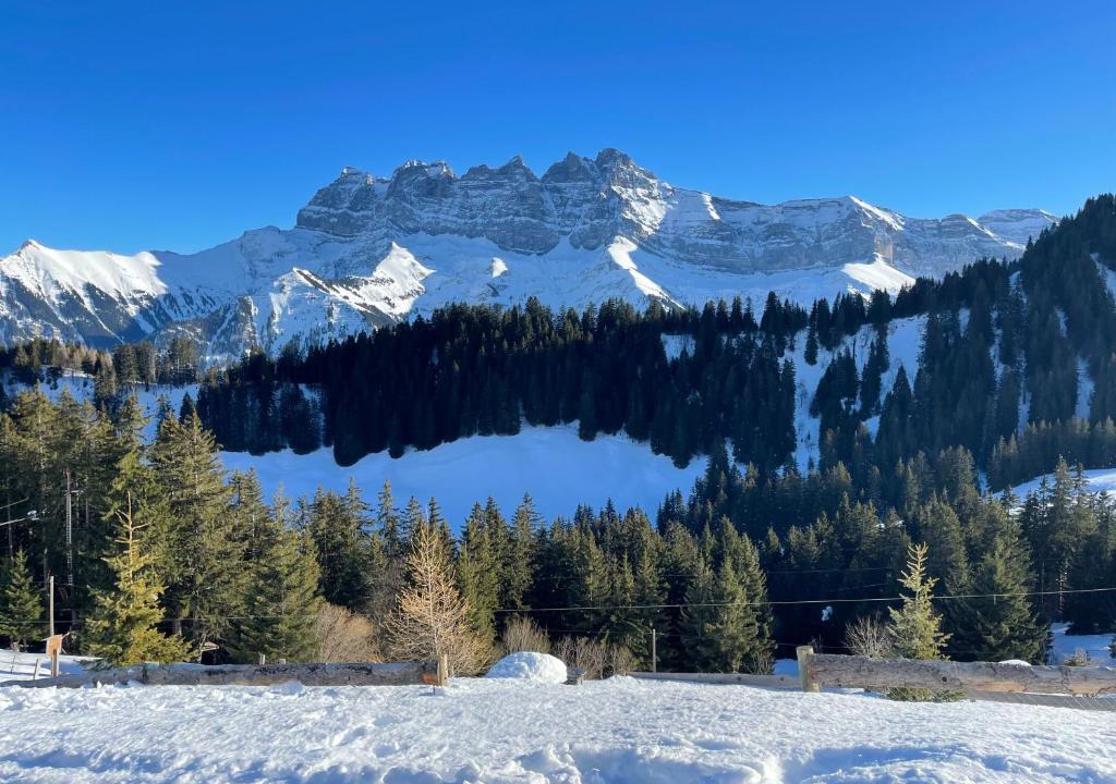 Val d'Illiez Apartment | Mountain River Appart
