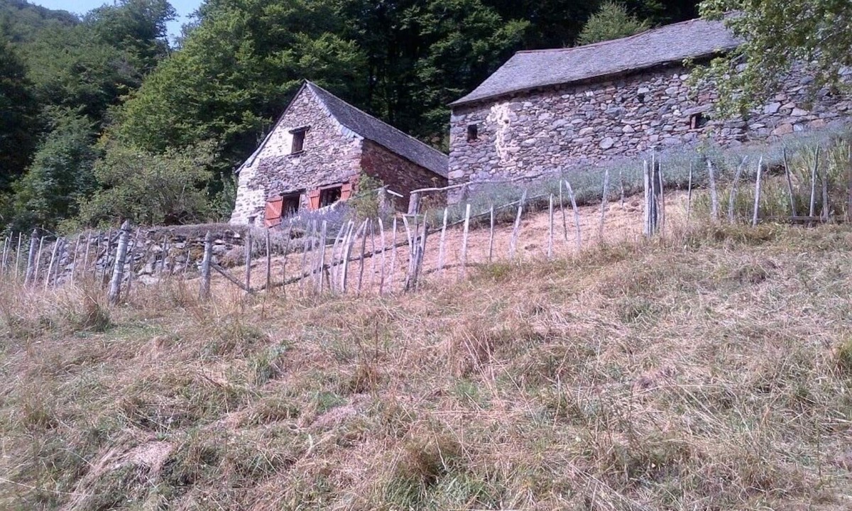 Borce House | MOUNTAIN SHEEPFOLD