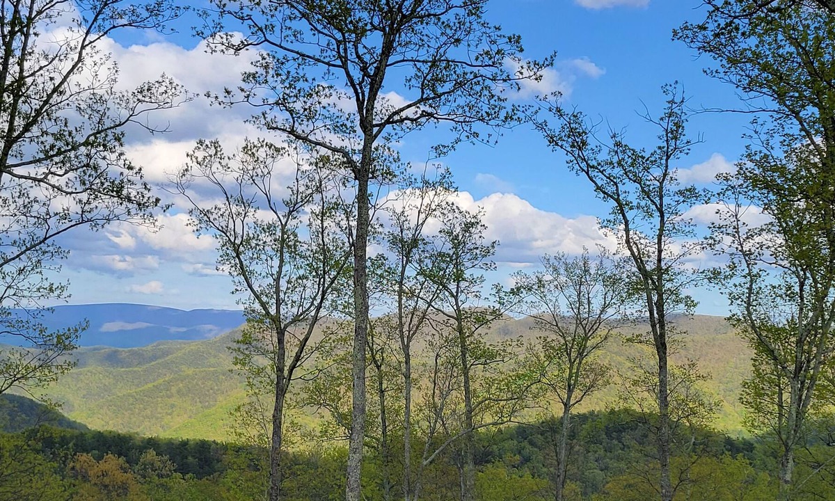 Covington Cabin | Mountain Top Cabin