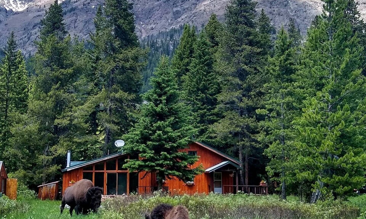 Cooke City-Silver Gate House | Mountain View House Right on Soda Butte Creek