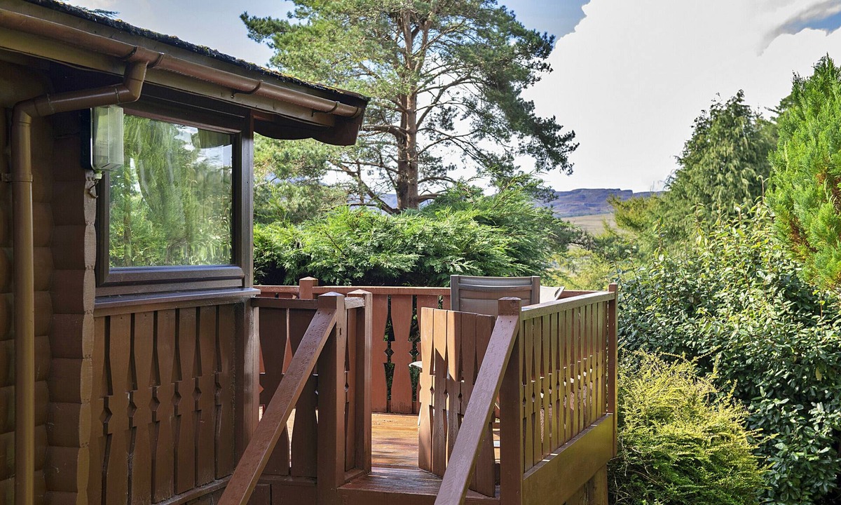 Bronaber Cabin | Mountain View