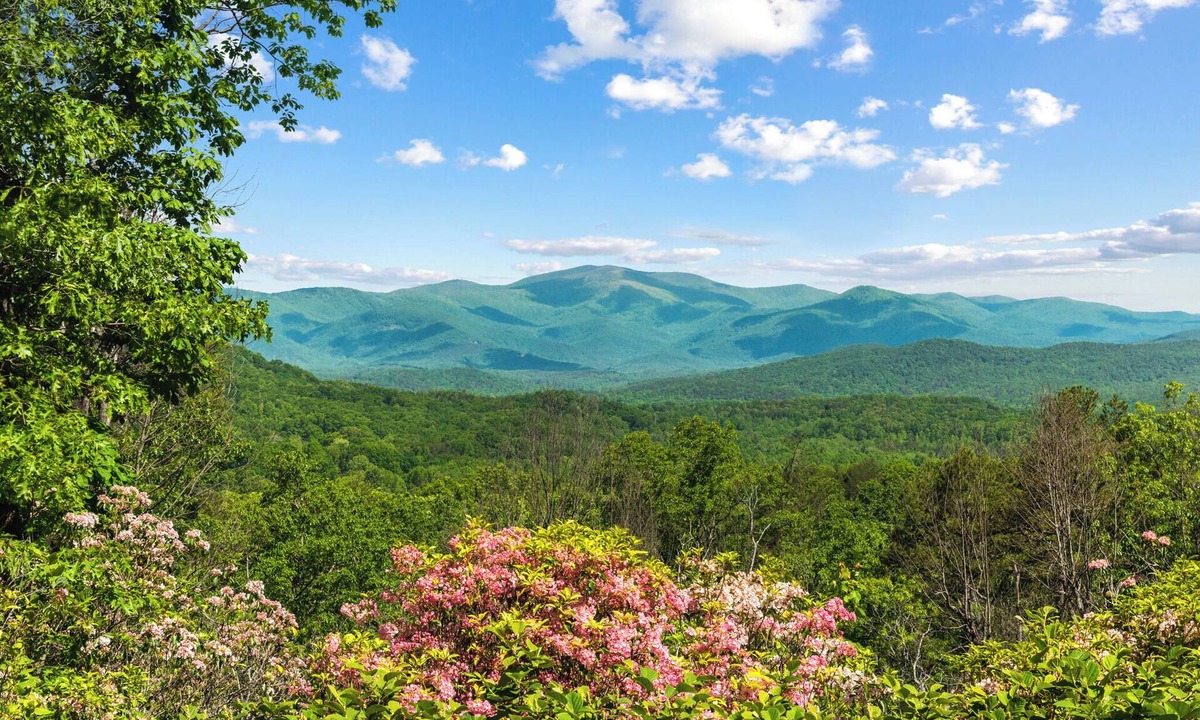 Clarkesville Cabin | Mountain Views Made for Gathering