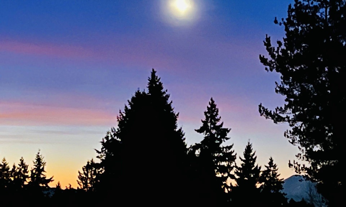 Shoreline House | MountForest Retreat