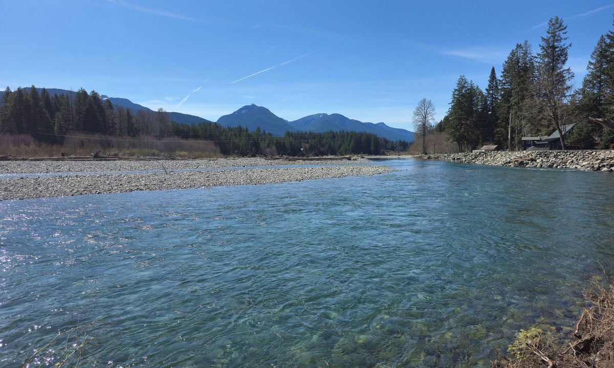 Packwood Cottage | Mt Rainier Riverfront Tiny Home in Packwood - White Pass Basecamp - AC - EV Plug