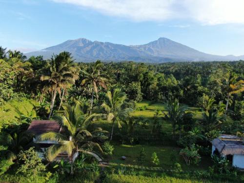 Tetebatu House | Mu Homestay Tetebatu
