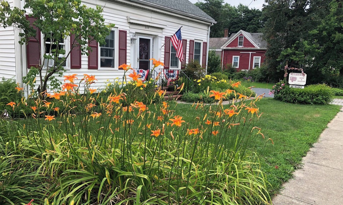 Wareham Center Bed & Breakfast | Mulberry Bed & Breakfast