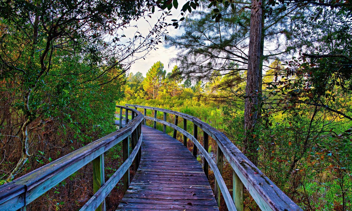 Carrabelle Villa | Mulligan Manor