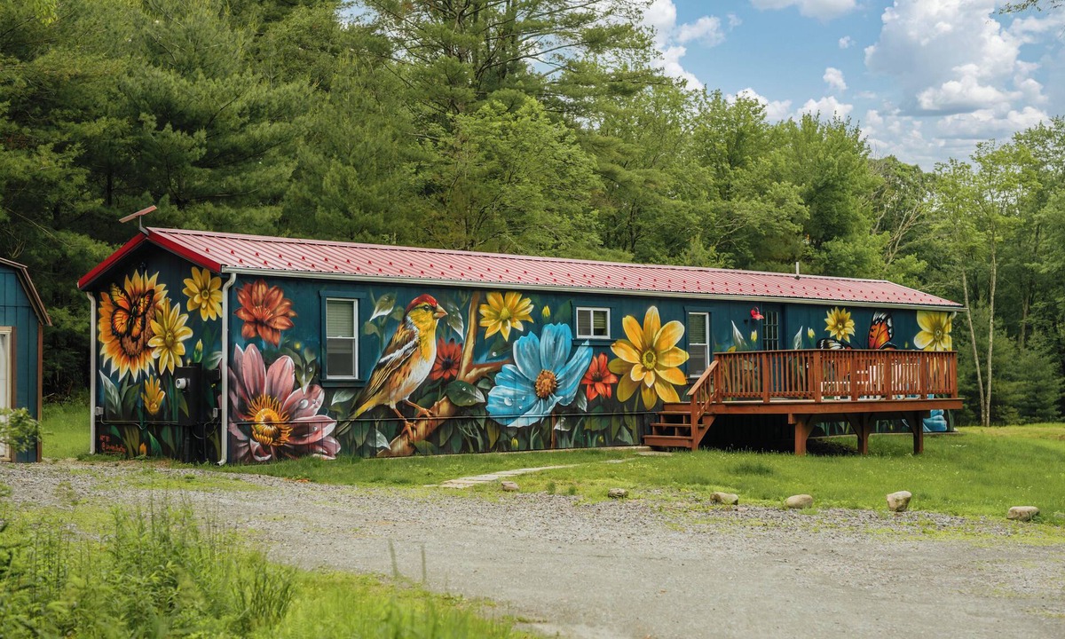 Narrowsburg Cabin | Mural Art Cabin With Pond And Hot Tub