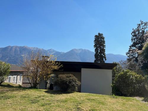 Muralto Apartment | Muralto-Locarno: Miramonti Apt. 4