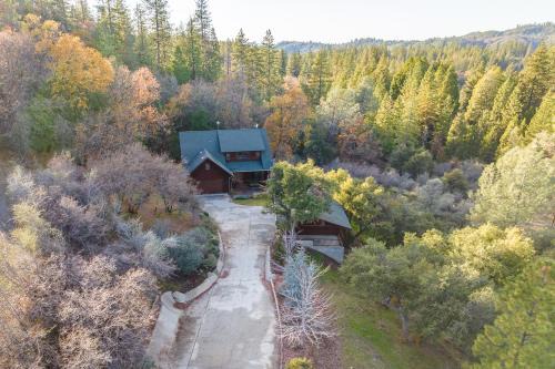 Forest Meadows House | Murph Lodge