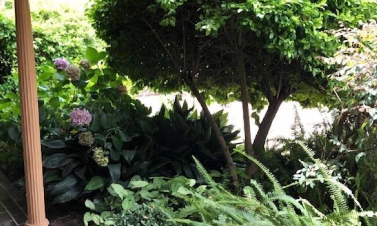 Muswellbrook Hotel | Muswellbrook Motor Inn