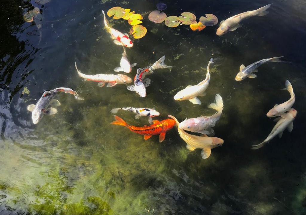 West Junior College Bed & Breakfast | My Big Art Project