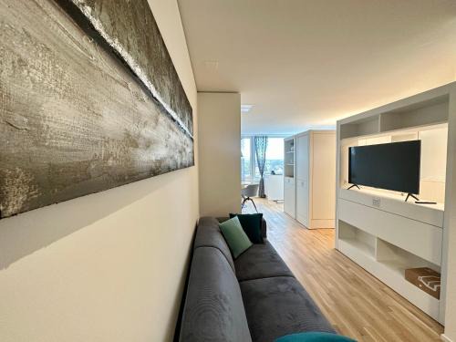 Neuhausen am Rheinfall Apartment | MydiHei @ Rhyfall Towers