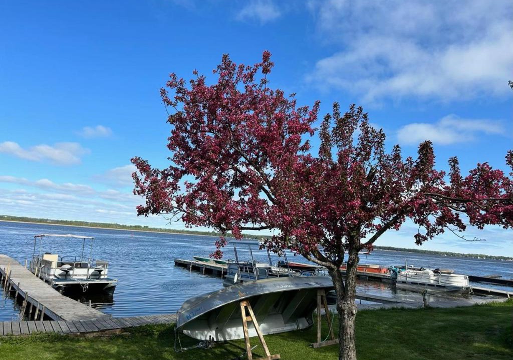 Lindsay Cabin | Myriad Fins Cottage and Marina