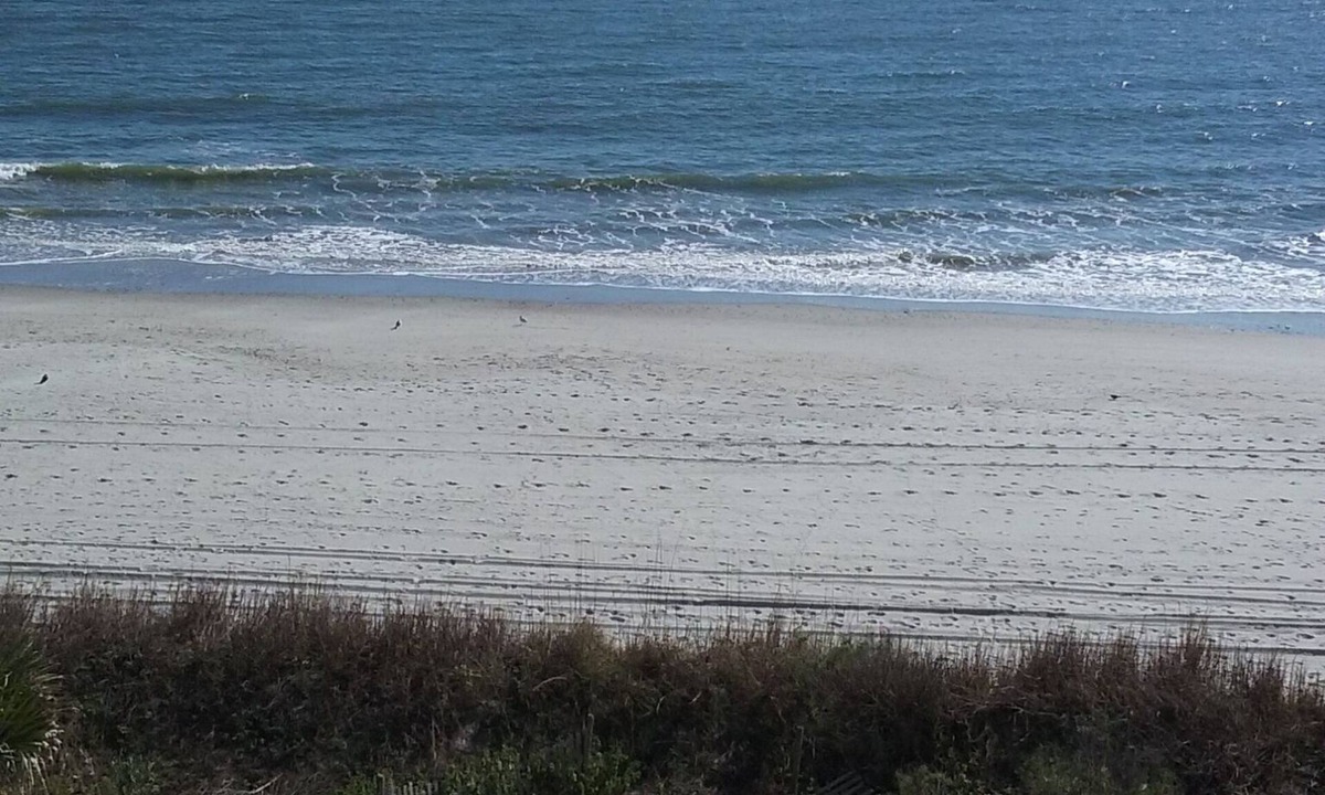 Downtown Myrtle Beach Condo | Myrtle Beach Oceanfront Condo. Spring Breakn open nights from 99 a night,