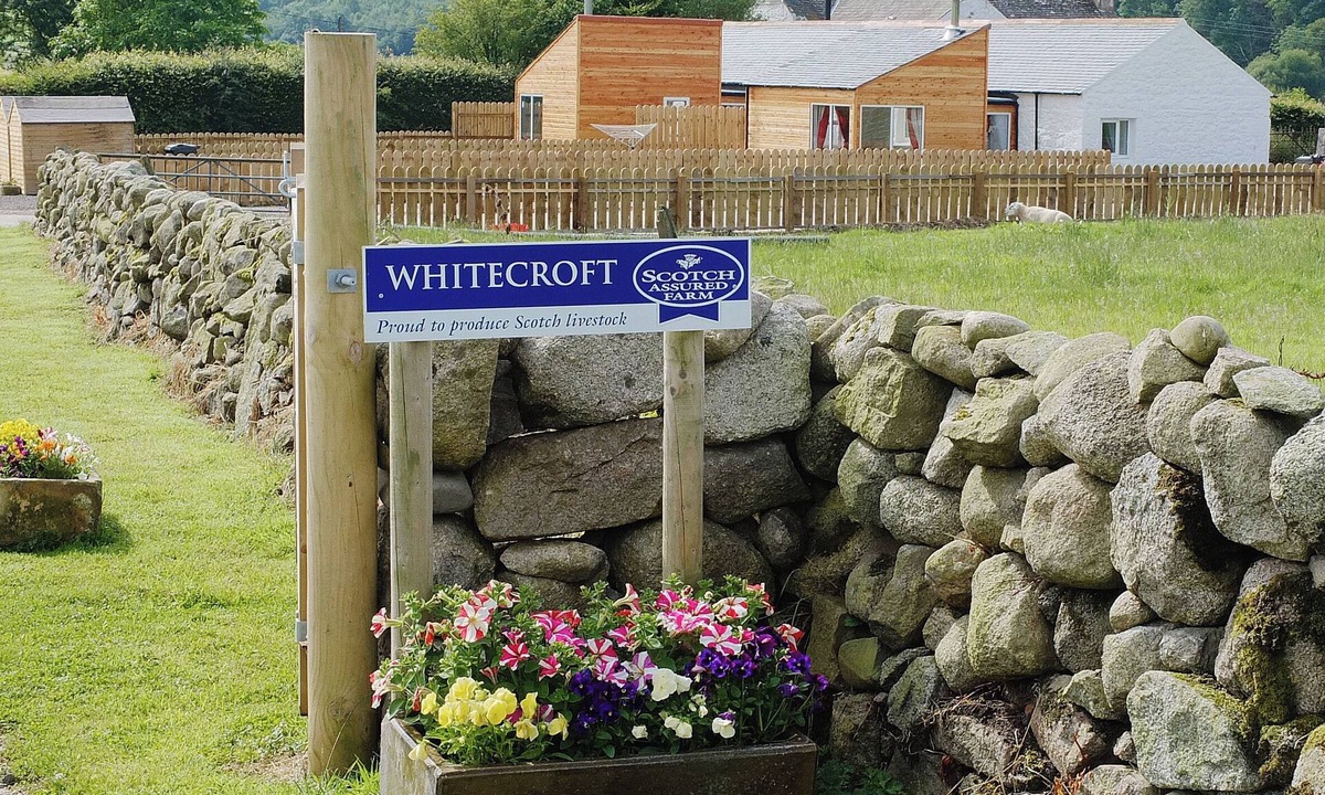 Dalbeattie Cottage | Myrtle Cottage - 28177