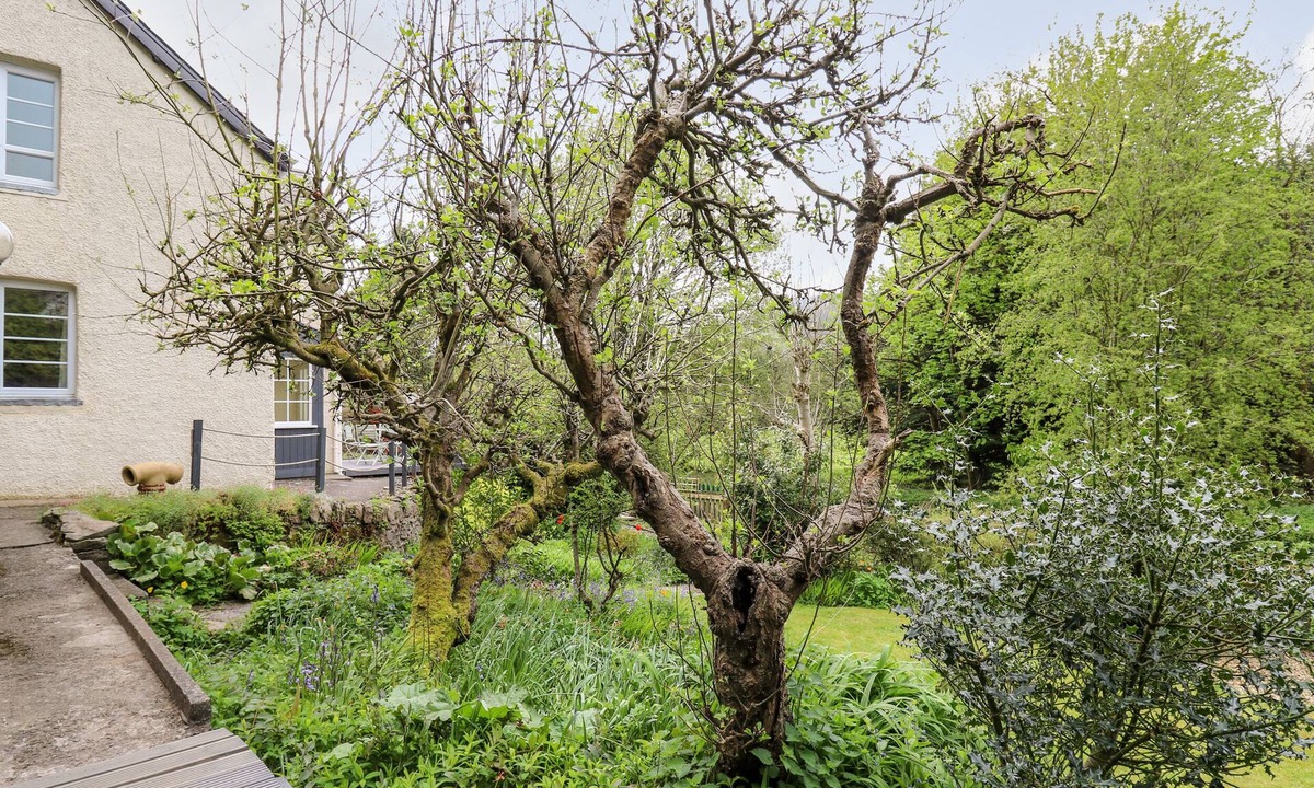 Knighton Cottage | Myrtle Villa